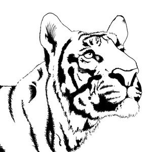 Meet your Posher, Evan